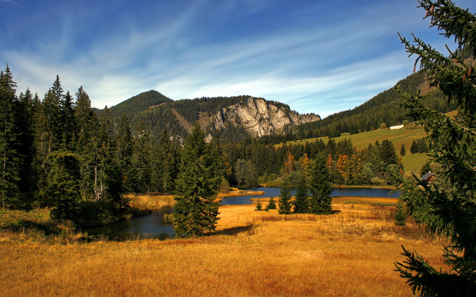 开云·体育官网-中小学体育健康教育课程开发与实践，中小学体育与健康课程指导纲要  第3张