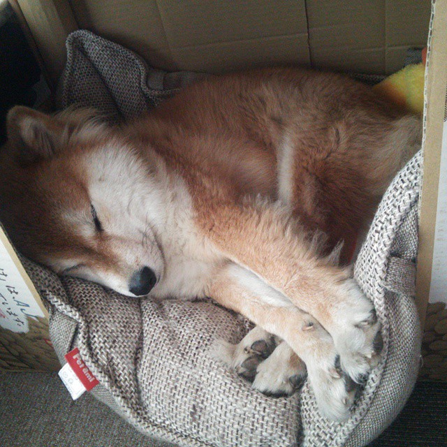 开云官方网站-中小学体育师资现状调查与专业发展建议,中小学体育教师的专业素养 第5张 开云官方网站-中小学体育师资现状调查与专业发展建议,中小学体育教师的专业素养 第5张