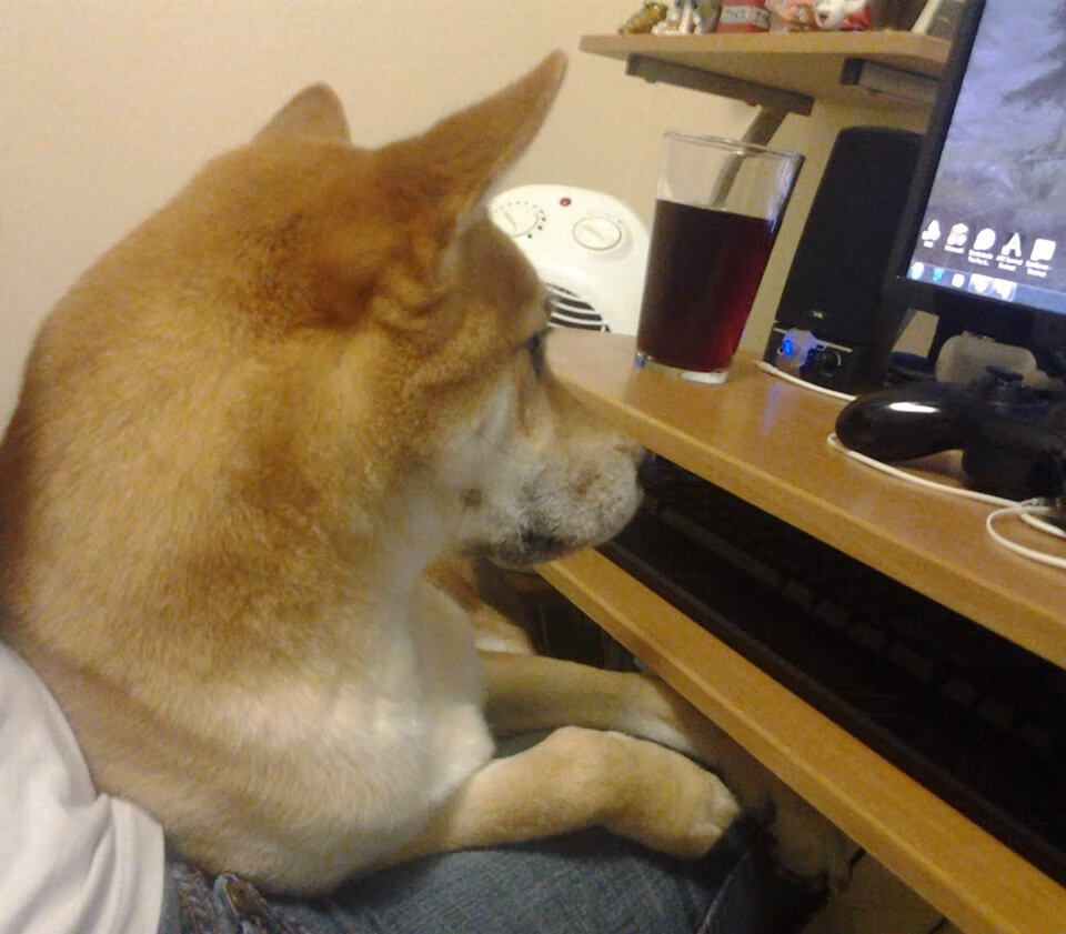 kaiyun中国官方网站-体育赛事现场应急处理方案，体育赛事安全应急方案