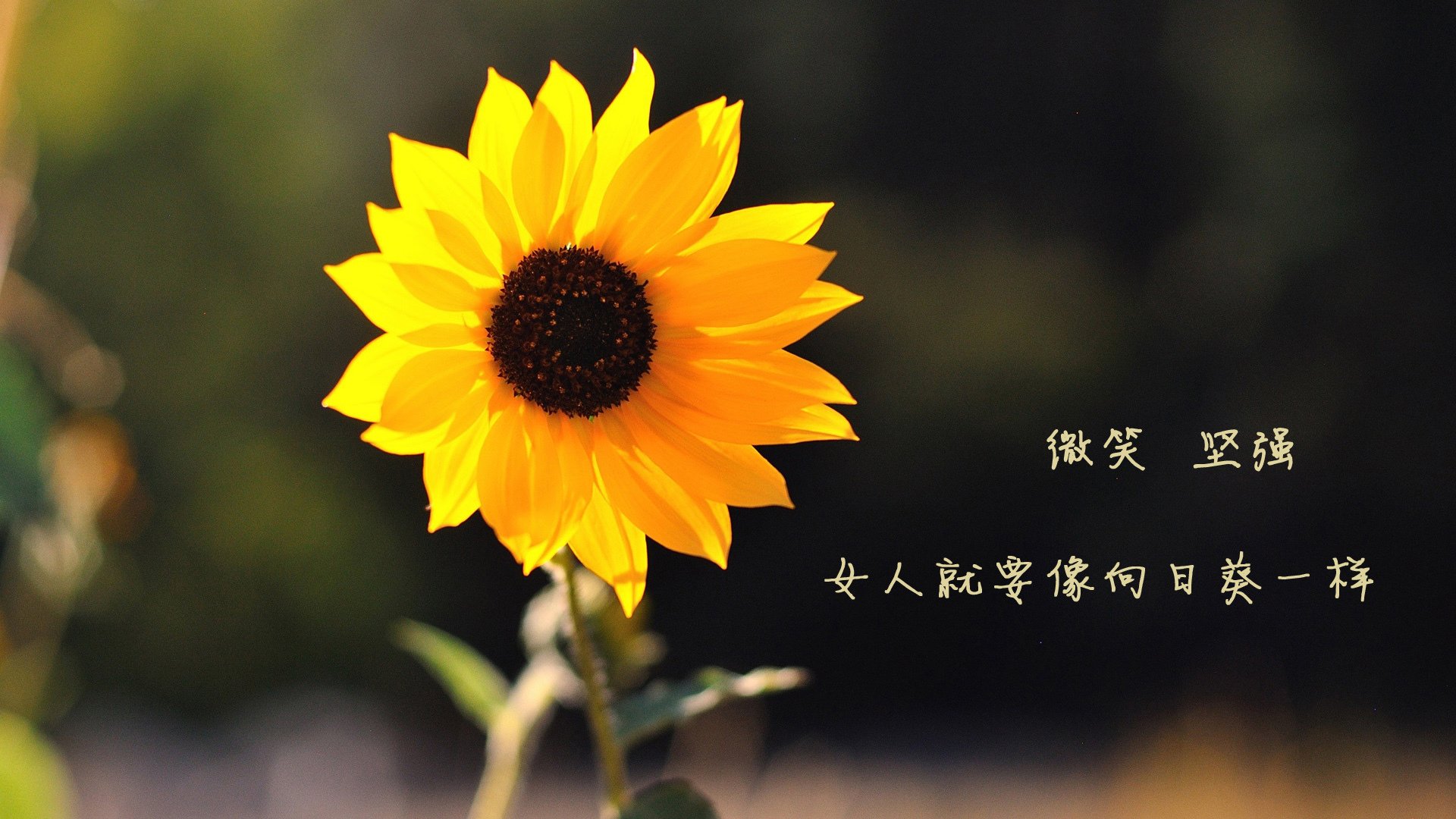 开云中国-法甲精彩对决:巴黎圣日耳曼连续赢得两场关键比赛,巴黎圣日耳曼法甲比分 第2张 开云中国-法甲精彩对决:巴黎圣日耳曼连续赢得两场关键比赛,巴黎圣日耳曼法甲比分 第2张