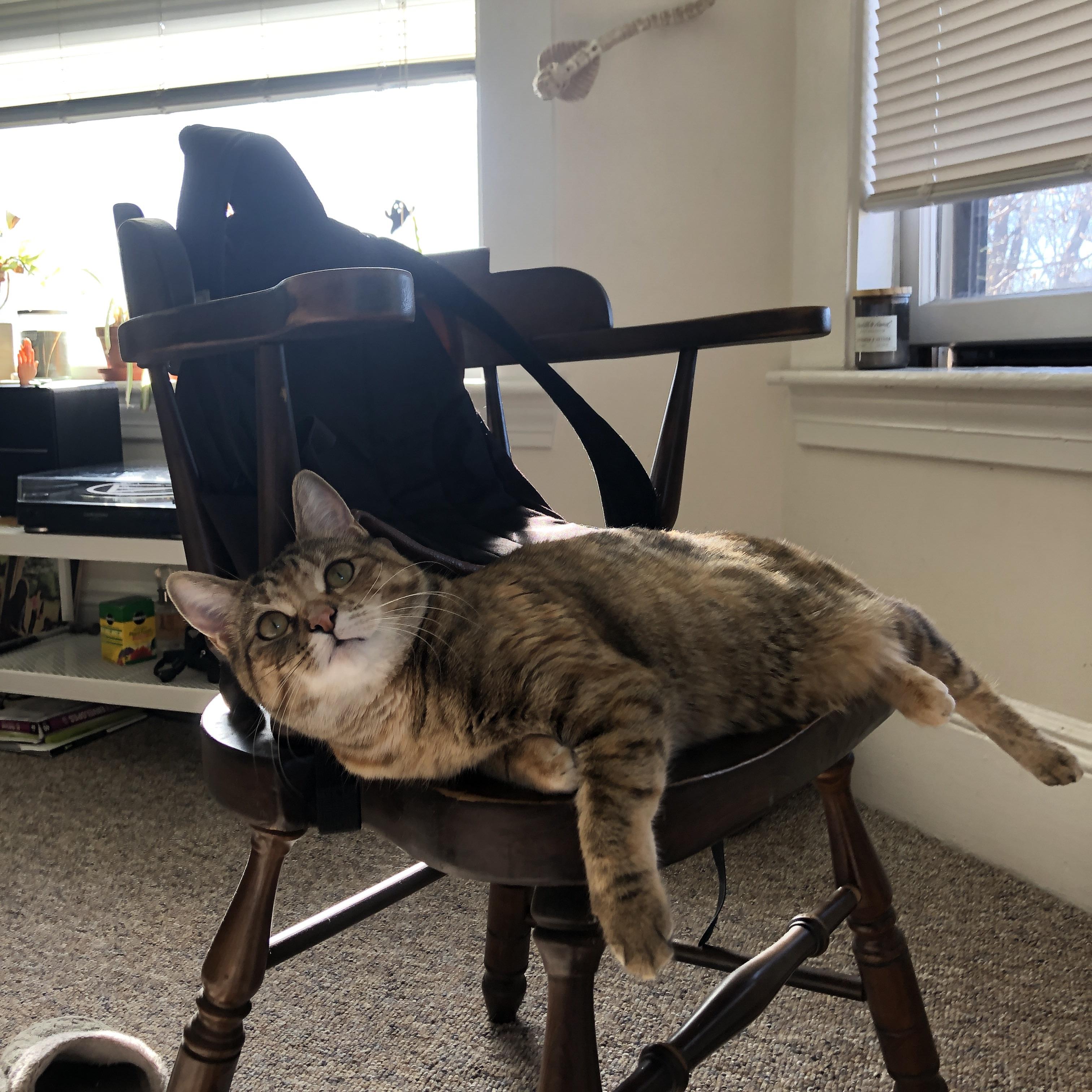 kaiyun体育综合-直播点评:欧洲联赛评论员最热烈的言论,冠军欧洲评论互动 第1张 kaiyun体育综合-直播点评:欧洲联赛评论员最热烈的言论,冠军欧洲评论互动 第1张