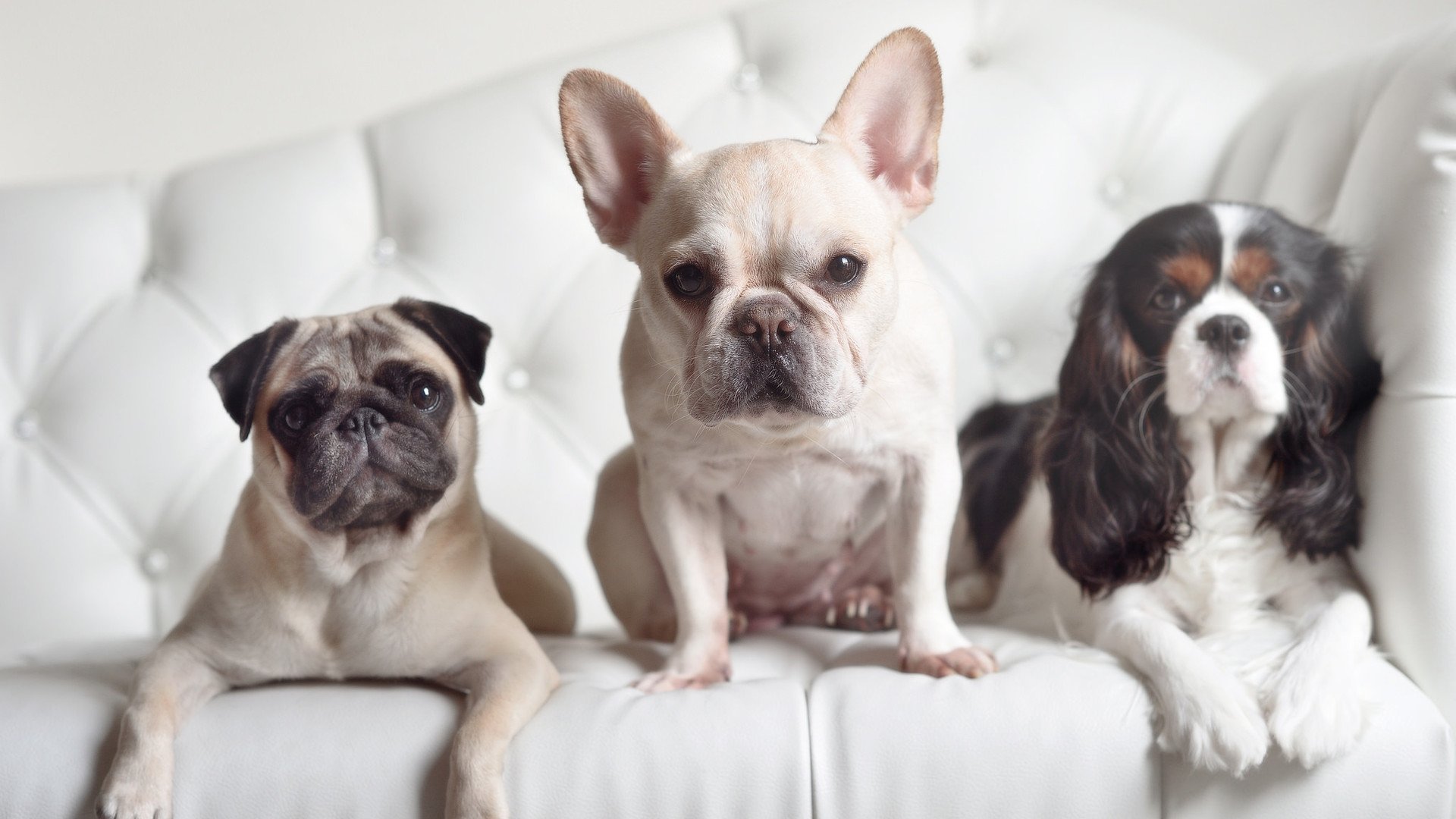 Kaiyun(中国)开云-青少年体育活动评估体系，青少年体育锻炼活动方案