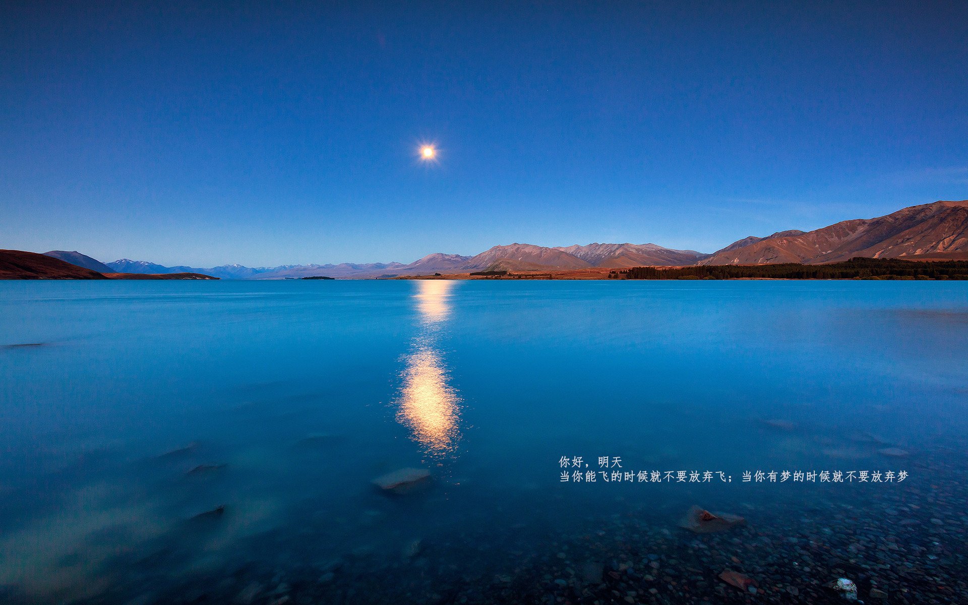 开云中国大陆-高校运动训练计划动态调整机制探讨，高校运动训练计划动态调整机制探讨心得体会