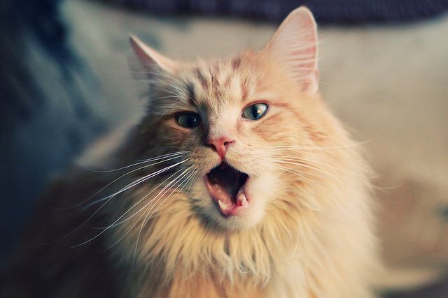 Kaiyun官方登录入口-CBA球队提升高压对抗处理能力