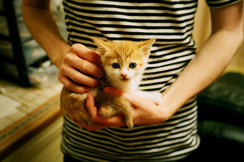 KAIYUN 中国大陆-Cole Palmer决赛表现惊艳，未来巨星可期，2020coe冠军