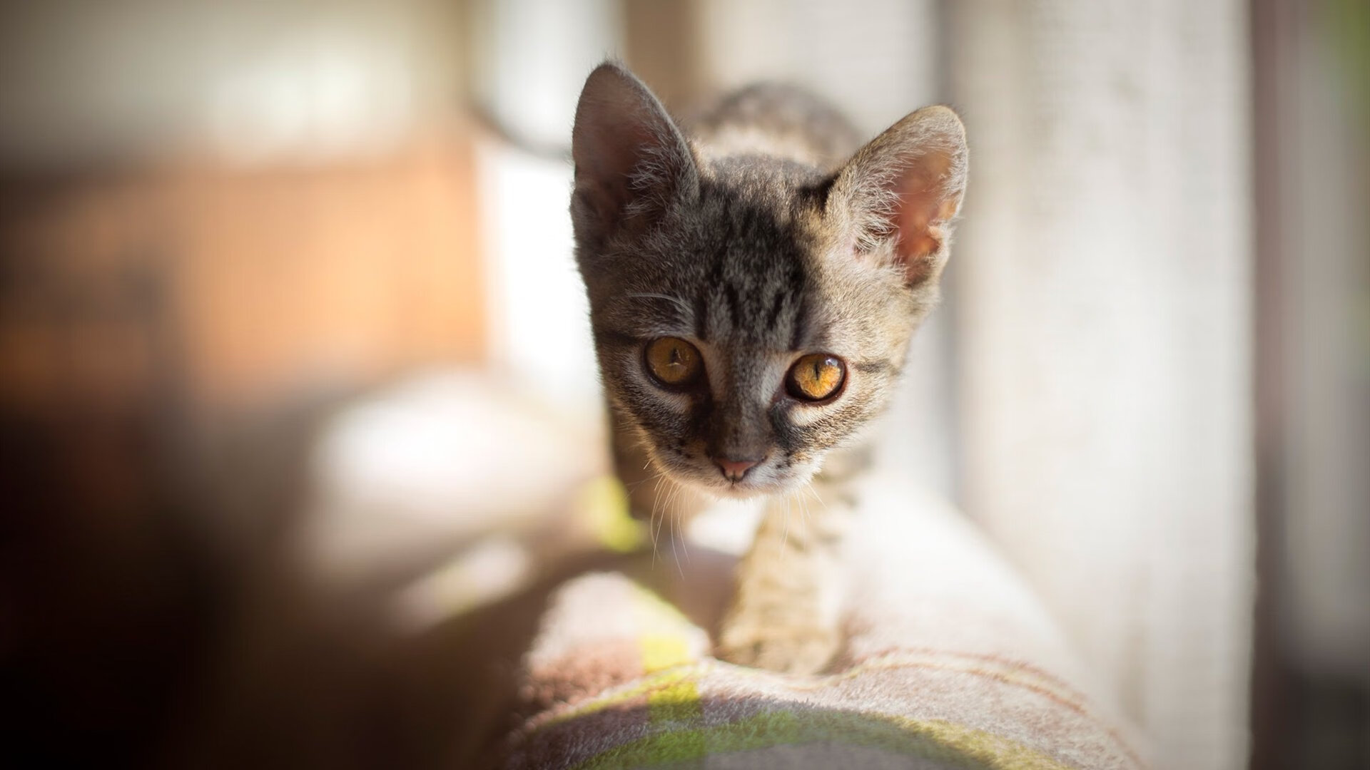 kaiyun体育综合-PSG防线漏洞被切尔西前锋多次利用，切尔西后防线