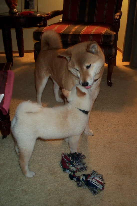 开云·体育官网APP下载-伤病名单引发球队紧急调整，球员伤病图