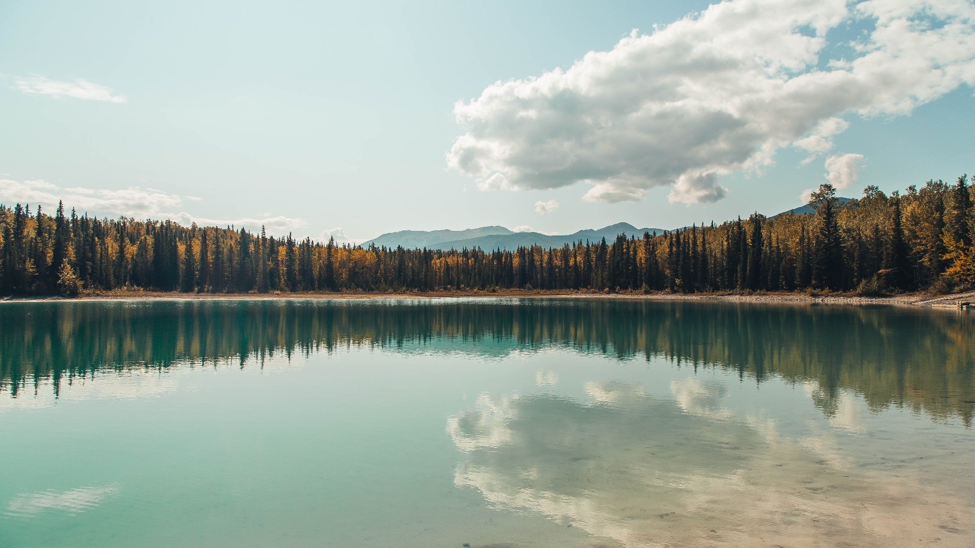 开云网页版登录入口-新加坡队赛制解读：如何通过创新战术突破团体赛限制，新加坡联赛什么水平