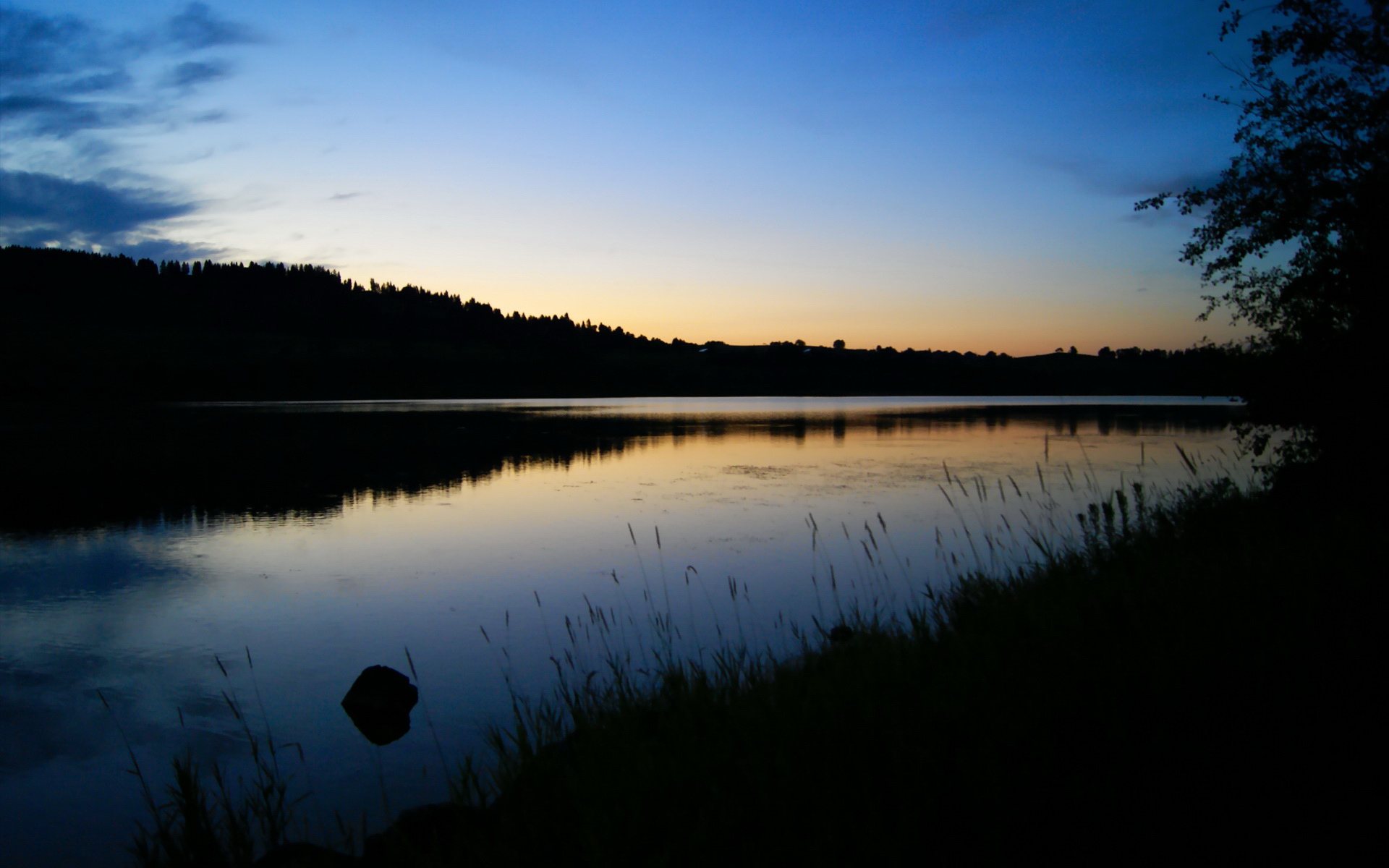 开云官方网站-“安赫尔·巴尔博萨的技术深度与进攻多样性，为美洲狮队打造全面竞争力”