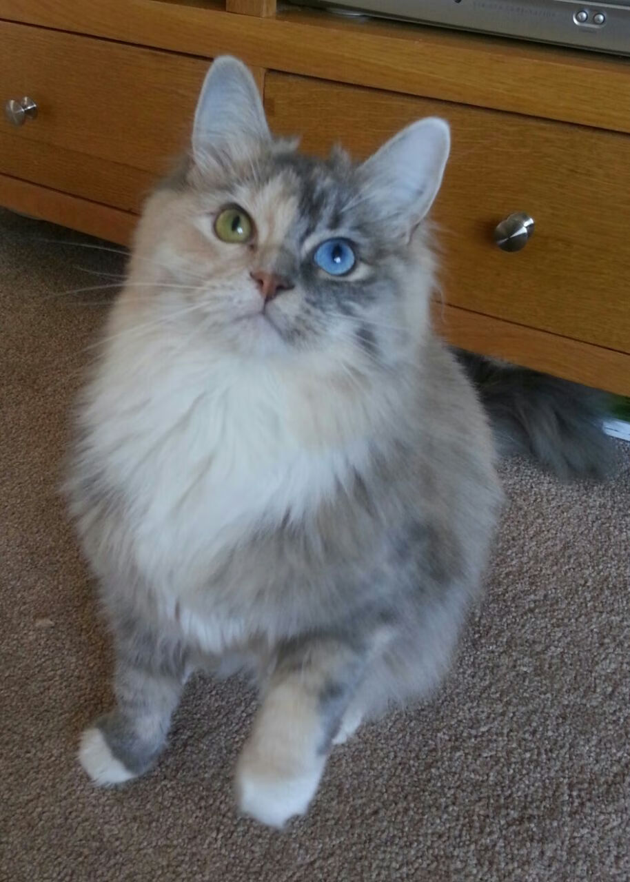 kaiyun体育app-意甲豪门争锋：火花四溅的战局，意甲七大豪门俱乐部