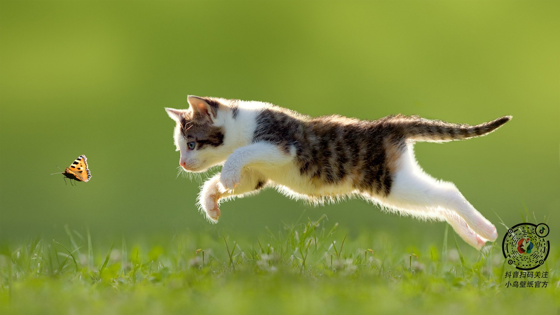 Kaiyun APP-欧洲杯决赛瞬间：战术排名的终极比拼，欧洲杯赛程2021决赛队伍