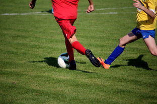 开云官方-男篮国家队专项安排外线射手训练增强火力输出，男篮外援