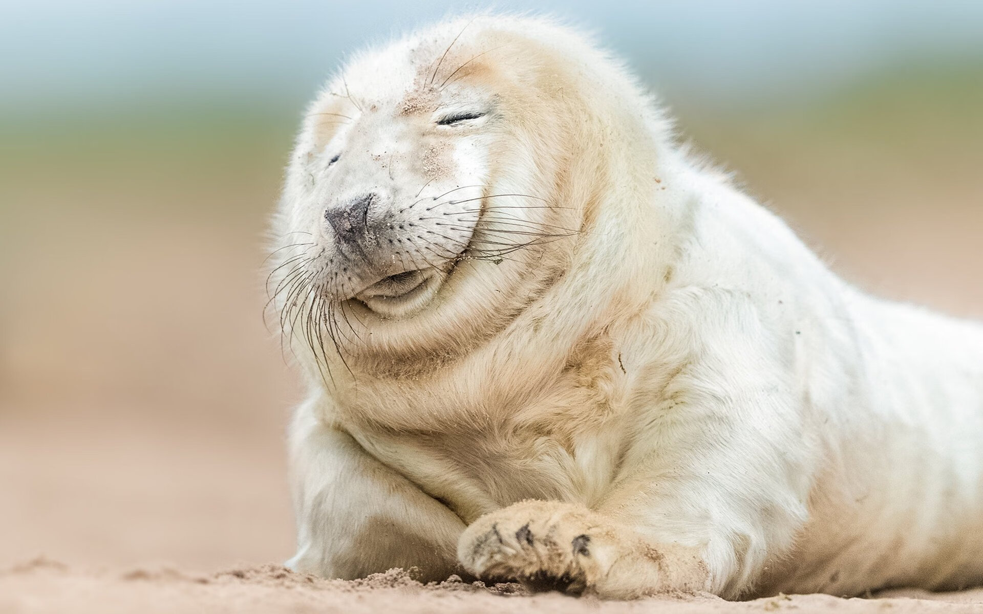 Kaiyun(中国)开云-阿根廷青年新星崭露头角，国家队未来可期