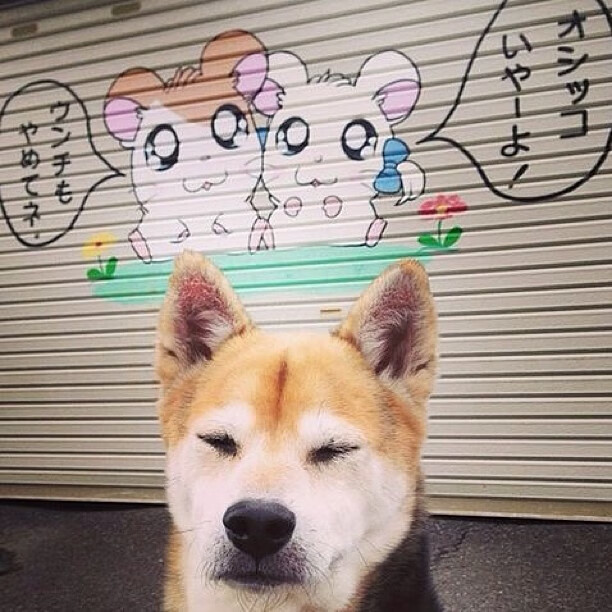 kaiyun网站-鹈鹕中锋持续专注脚步训练强化篮下对抗，鹈鹕鹈鹕