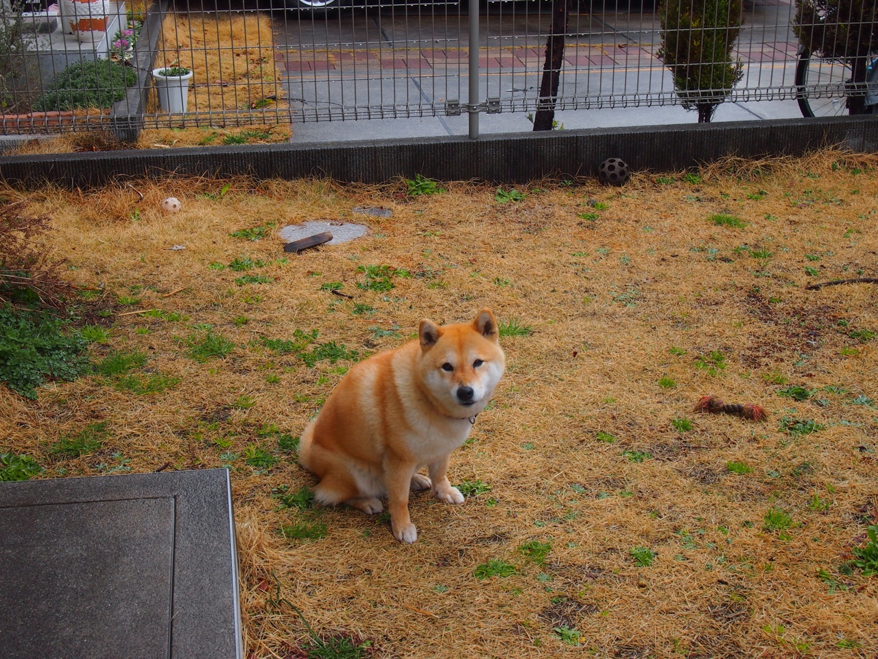 kaiyun中国官方网站-1.1亿元退款背后，是谁在为问题充电宝买单？，充电宝退款在哪里