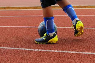 开云体育APP下载-Fischer 冲刺速度快如闪电，冲刺的速度