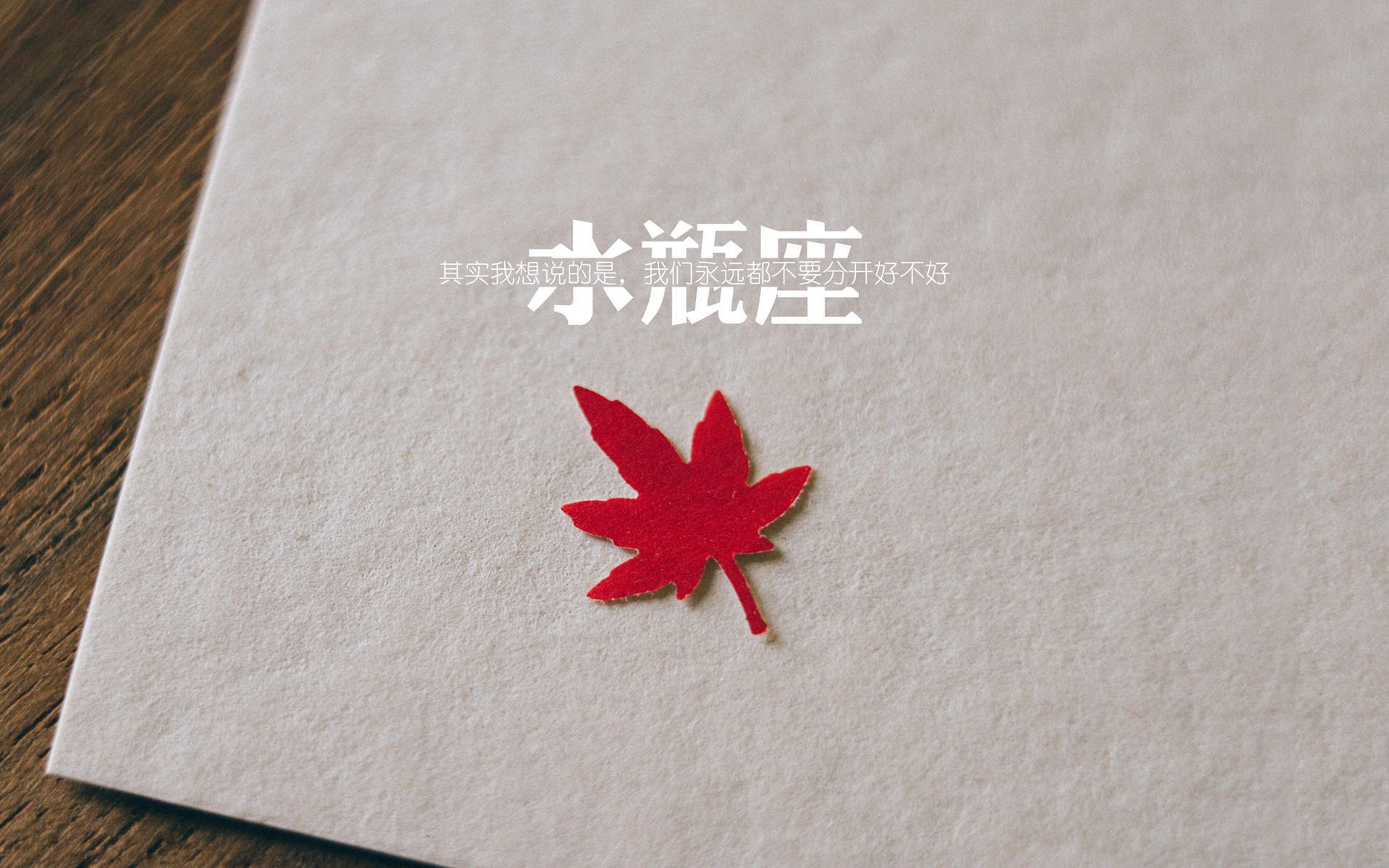 开云官网-中国足球队赛前录像分析与战术复盘制度，中国足球比赛的视频