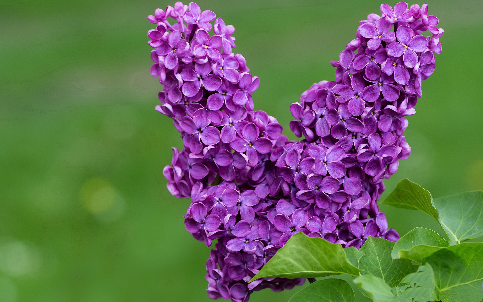 开云平台-五大联赛边后卫助攻能力提升明显，边后卫助攻后谁来补位