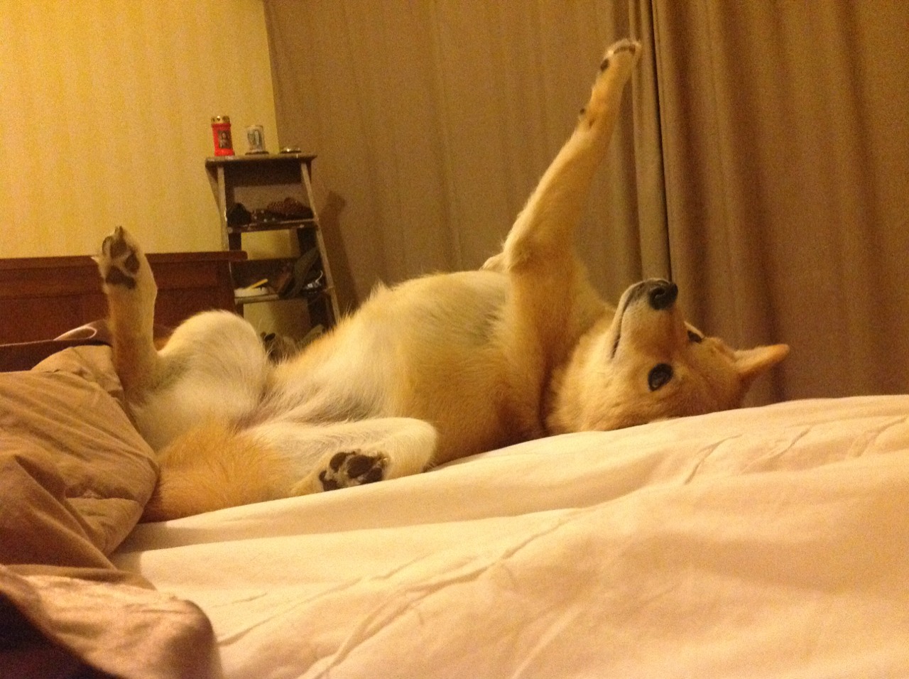 开云kaiyun-体育新闻中心实现体育数据内容智能解读，体育新闻报道