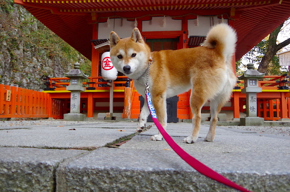 kaiyun体育app-体育新闻内容质量评估体系正式推行，体育新闻评选