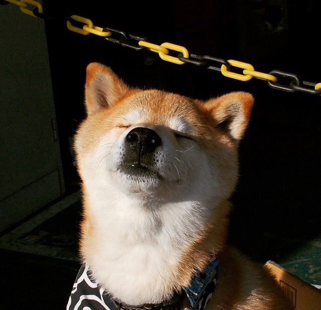 开云官网APP下载-养老基金投资交成绩单：8年正收益，稳中有升，养老基金 知乎