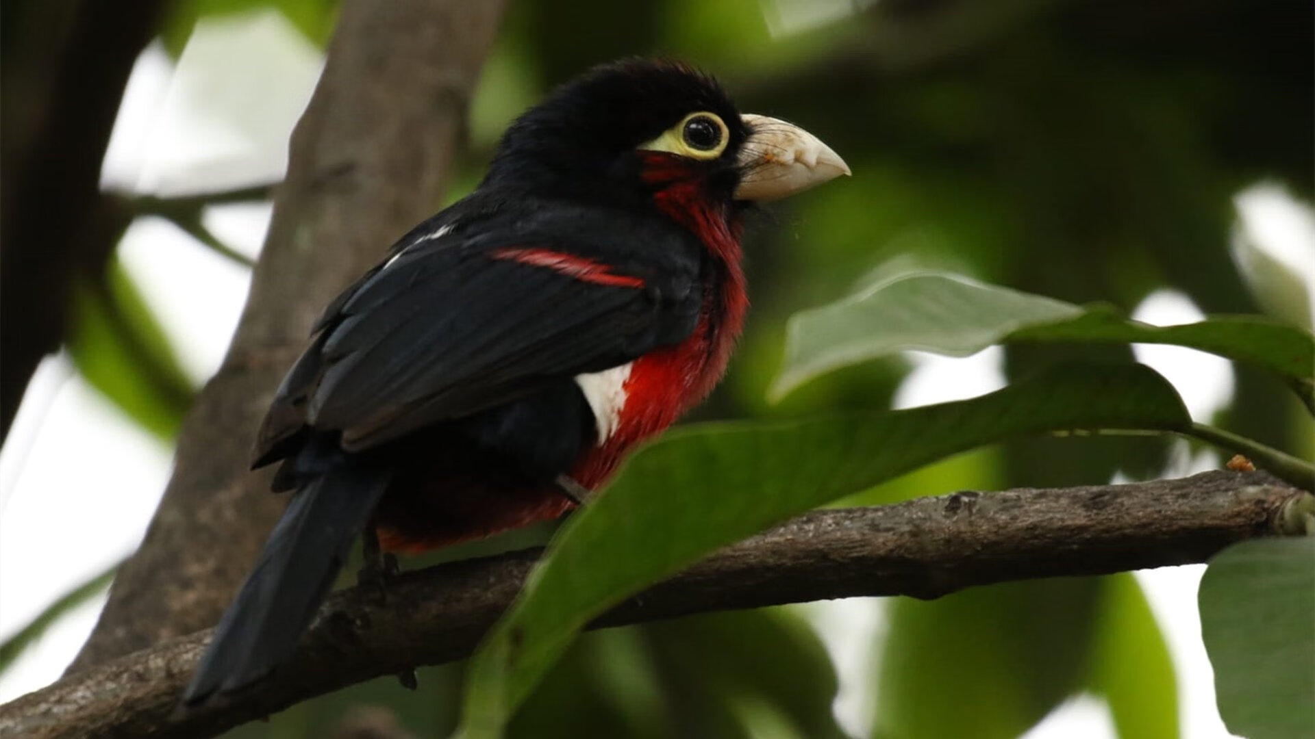 kaiyun登录入口-冯珊珊减重70斤的心理建设与行动力探讨，冯珊珊退役了吗